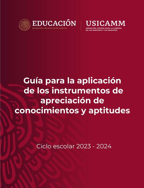 Guia aplicacion instrumentos 1