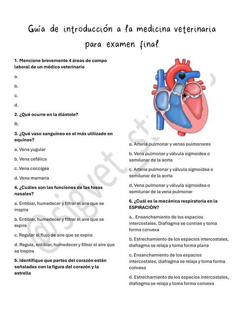 Guía de preparación examen introducción a la MV