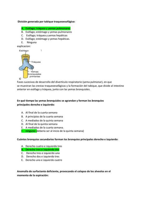 Parcial 3