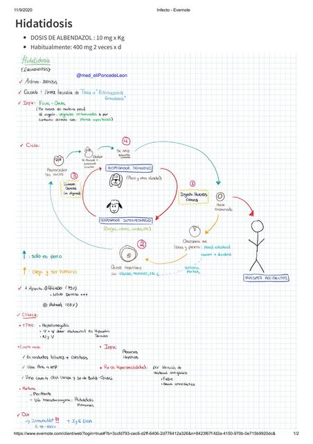 Hidatidosis / Equinococosis RESUMEN! simplificado!