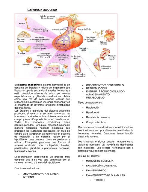 SEMIOLOGIA ENDOCRINO