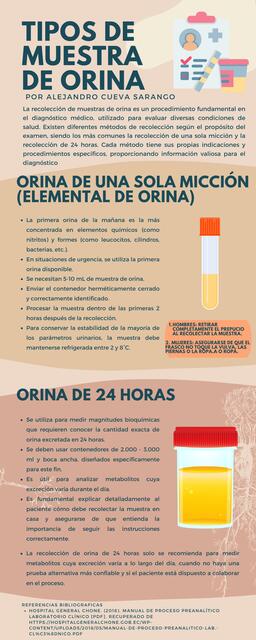 infografia Tipos de muestra de orina