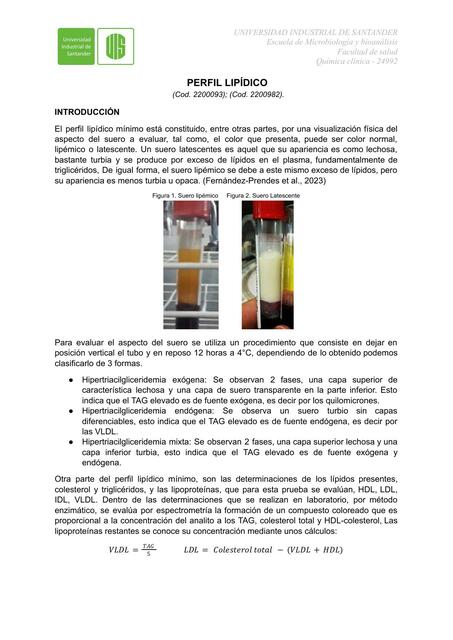 Informe Perfil Lipídico - UIS