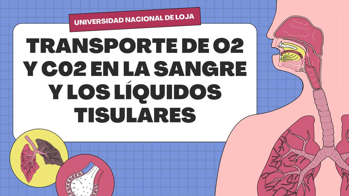 Transporte de O2 y C02 en la sangre y los líquidos