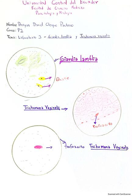 Laboratorio 3 