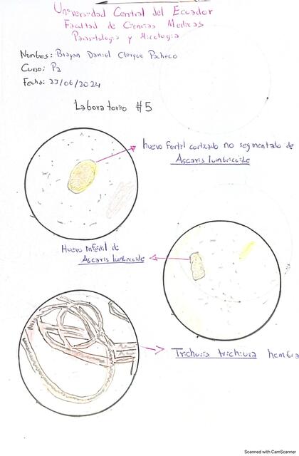  Laboratorio 5