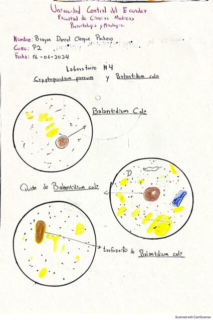 Laboratorio 4