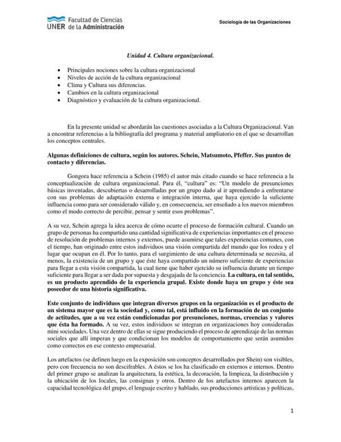 Sociologia de las organizaciones - Unidad 4 cultura organizacional