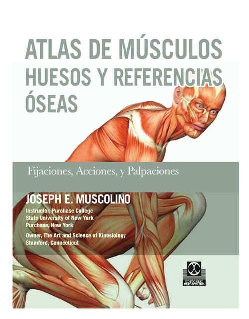 ATLAS de MuSCULoS