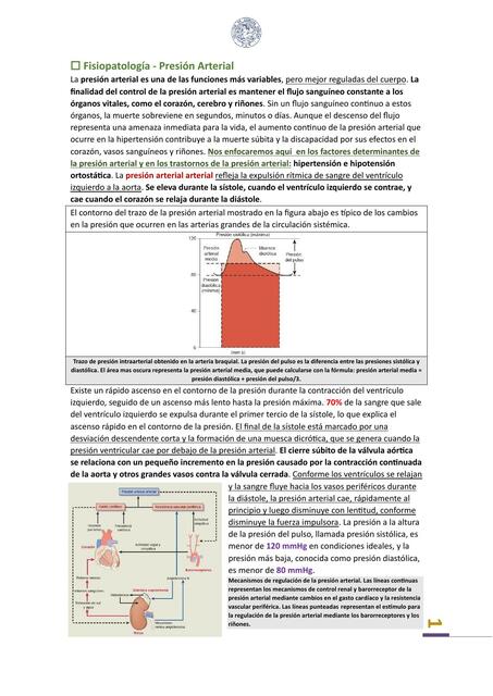 Fisiopatología - Presión Arterial