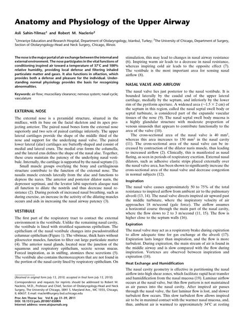 Anatomy and Physiology of the upper Airway