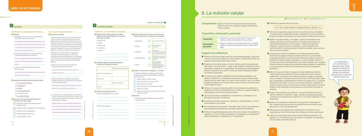 Actividad 05 La célula eucariota