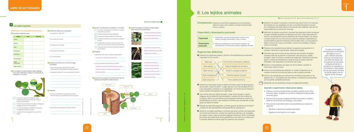 Actividad 07 Los tejidos vegetales