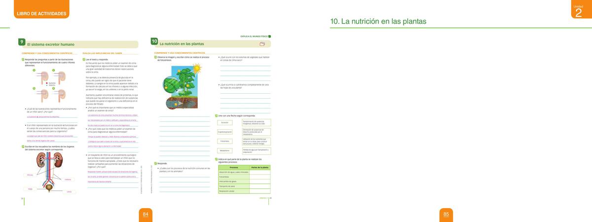 Actividad 10 La nutricion en las plantas