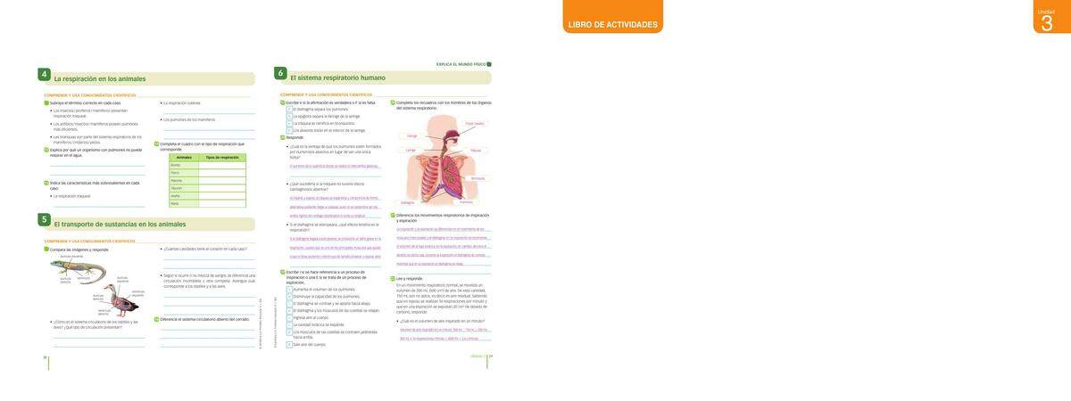 Actividad 04 y 05 Respiración y trasporte de sustancias
