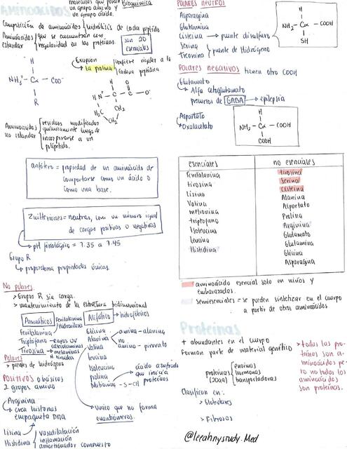 Aminoácidos y proteínas