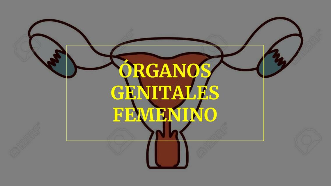 APARATO REPRODUCTOR FEMENINO