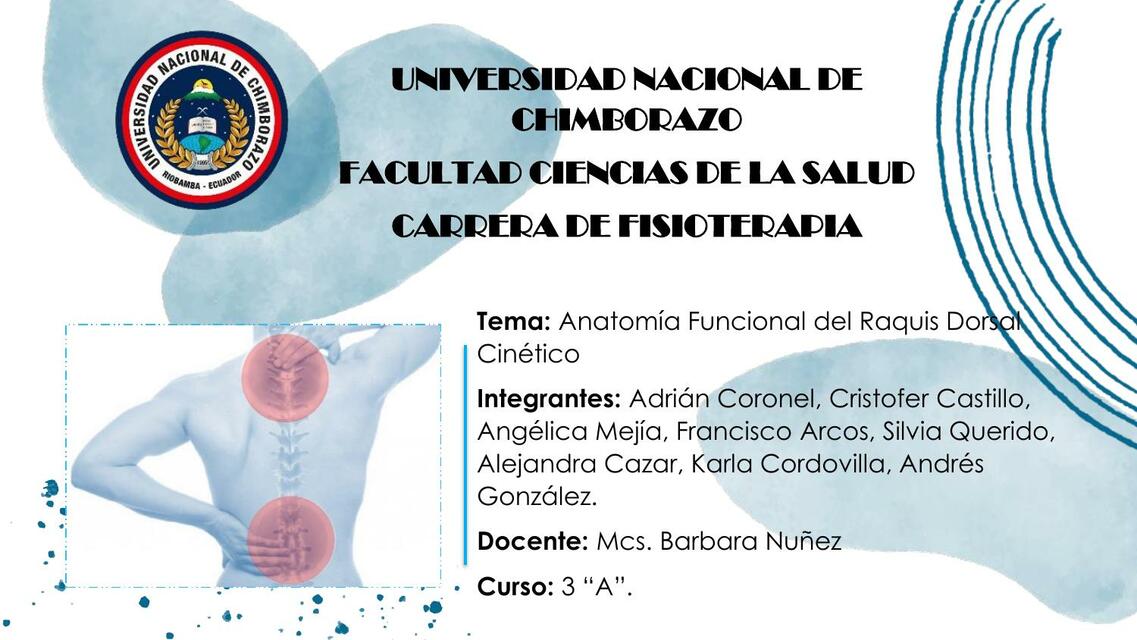 Anatomía Funcional del Raquis Dorsal Cinético