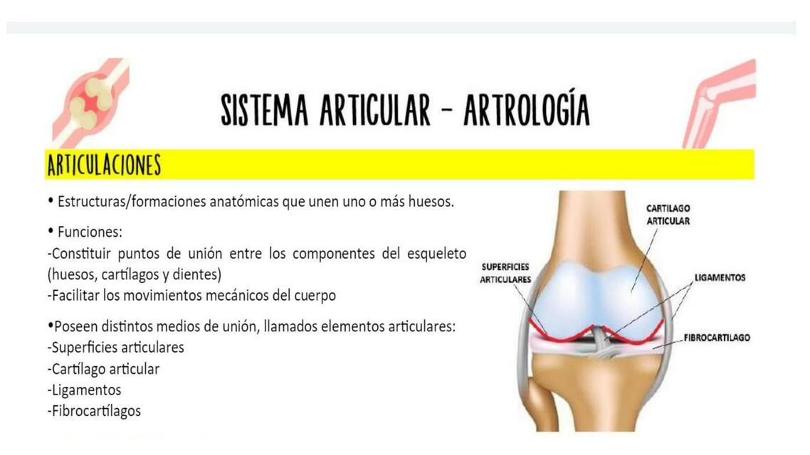 articulacion pw