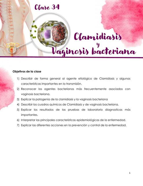 Clamidiasis Y Vaginosis Bacteriana 