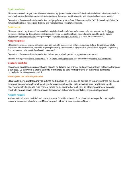 Expo Anato Ey Pedro Udocz