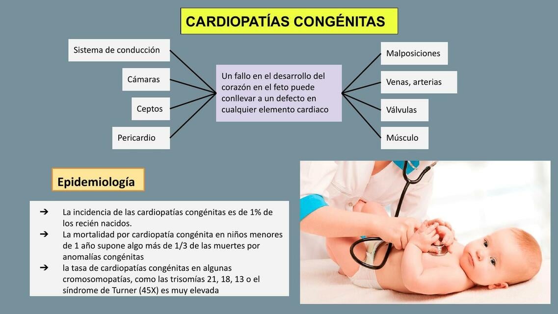 Cardiopatías congénitas | Lupita | uDocz