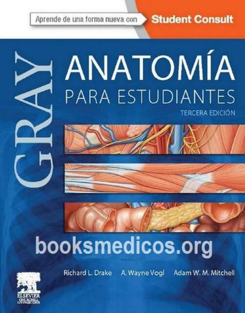 Gray Anatomía para Estudiantes tercera edición