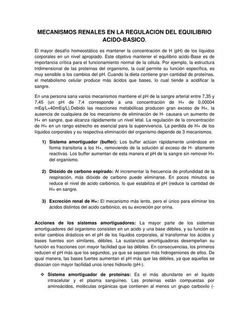 Mecanismos renales en la regulación del equilibrio ácido-básico 