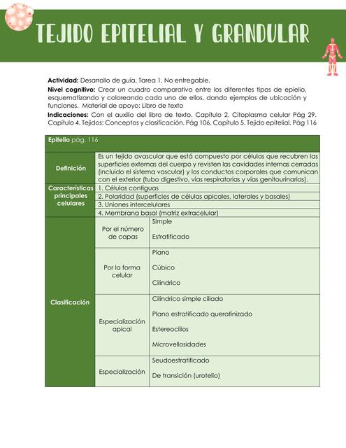 EPITELIO Y TEJIDO GLANDULAR