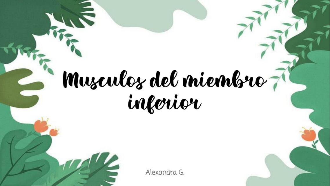 musculos del miembro inferior