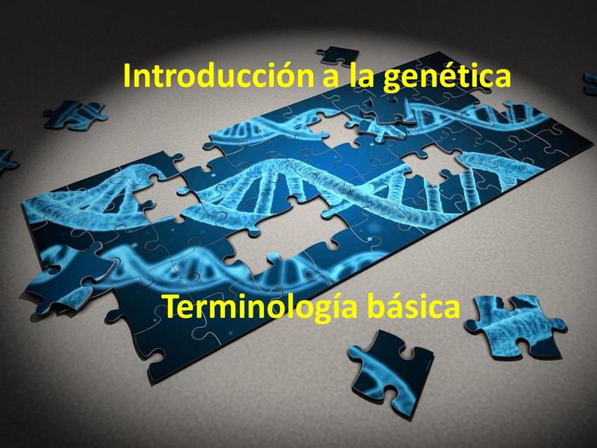 Introducción a la genética