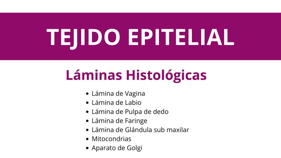 TIPOS DE TEJIDO LAMINAS