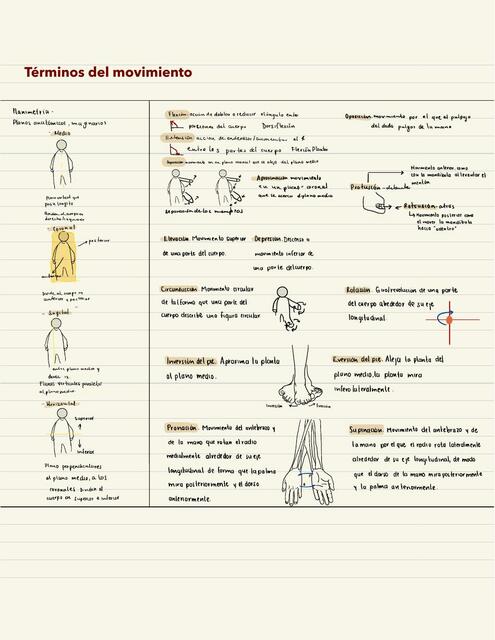 Términos del movimiento