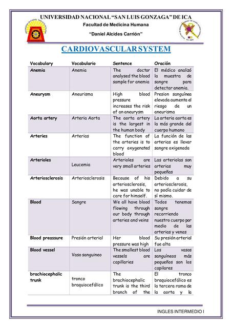 CARDIOVASCULAR SYSTEM 2 8