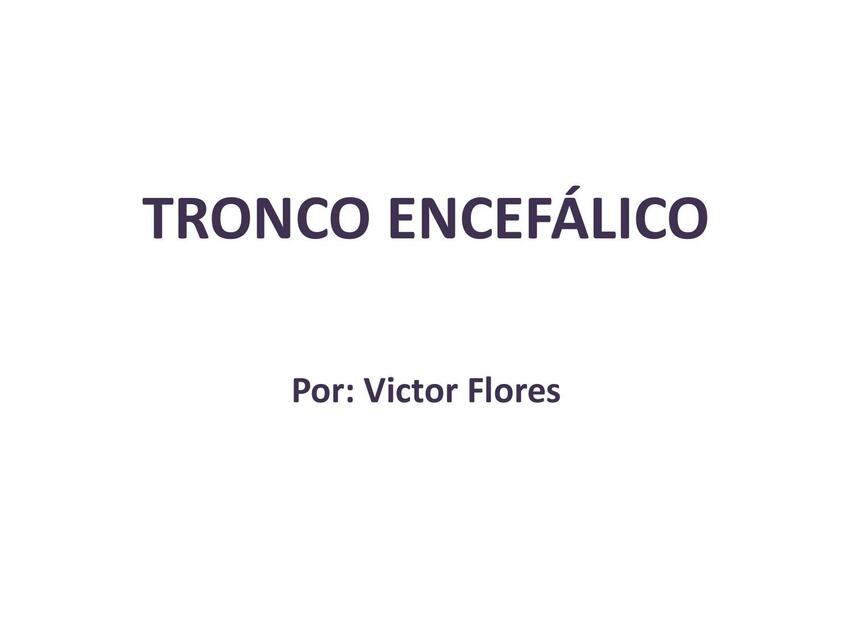 TRONCO ENCEFALICO