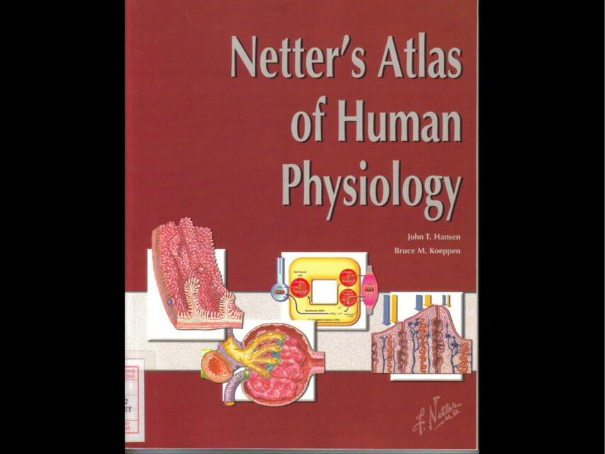 A netter atlas of physiology