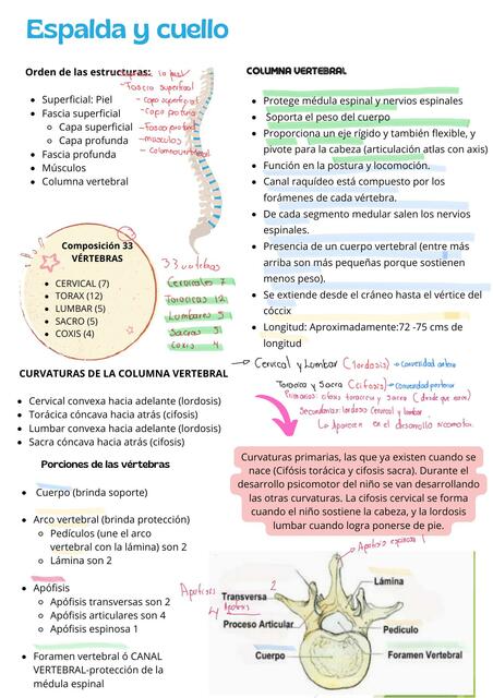 Espalda y cuello