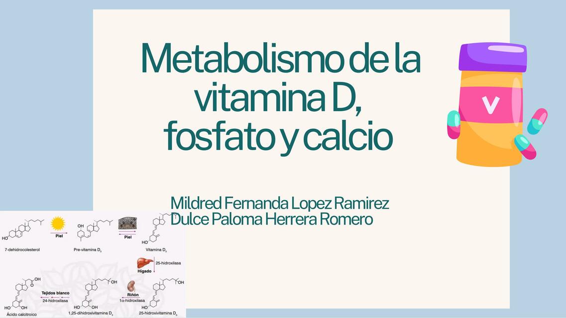 Metabolismo vitamina D