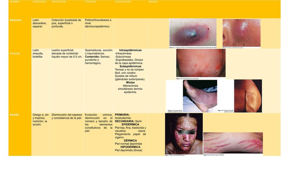 LESIONES DERMATOLOGICAS