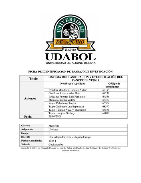 TRABAJO FINAL DE UROLOGÍA completo