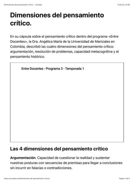 Dimensiones del pensamiento crítico Conidea