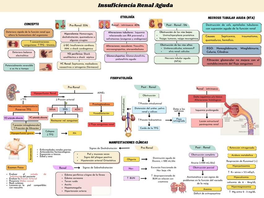 INSUFICIENCIA RENAL AGUDA