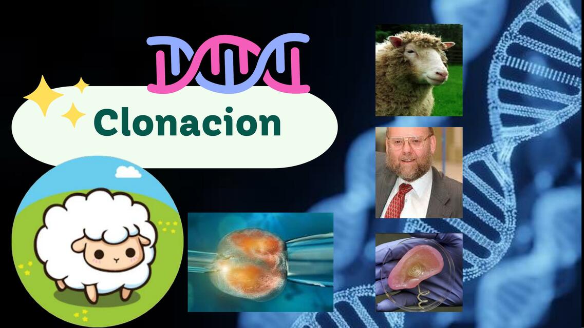 Clonacion 