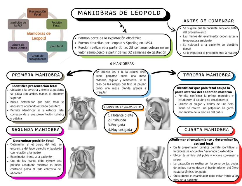 Maniobras de Leopold