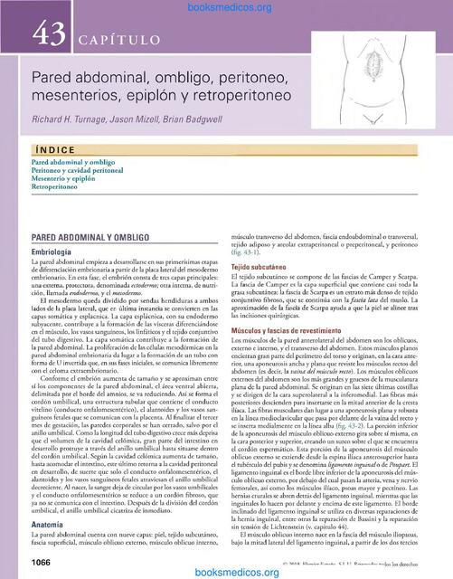 hernias