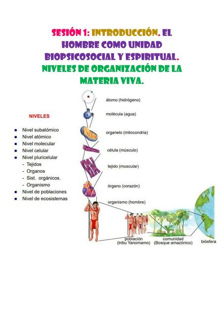 Semana 1 BASES DE LA BIOLOGÍA Resúmen mapa concept