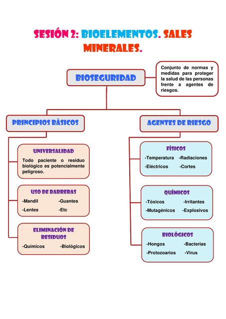 Semana 2, 3 y 4 BASES DE LA BIOLOGÍA Resúmen