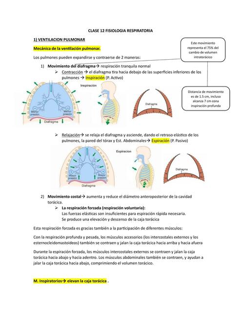 FISIOLOGIA RESPIRATORIA