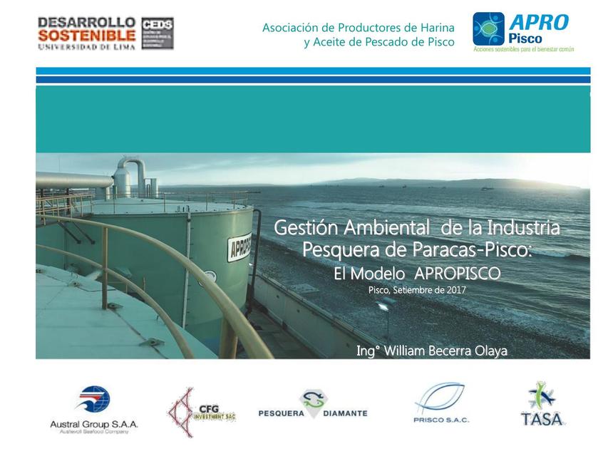 Gestion ambiental de la industria de pesca Perú