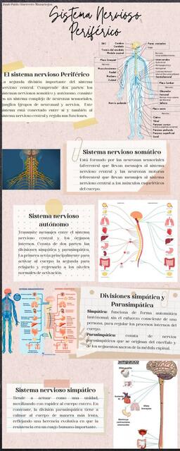 Infografia Creaativa Proyecto Ilustrado Colorido